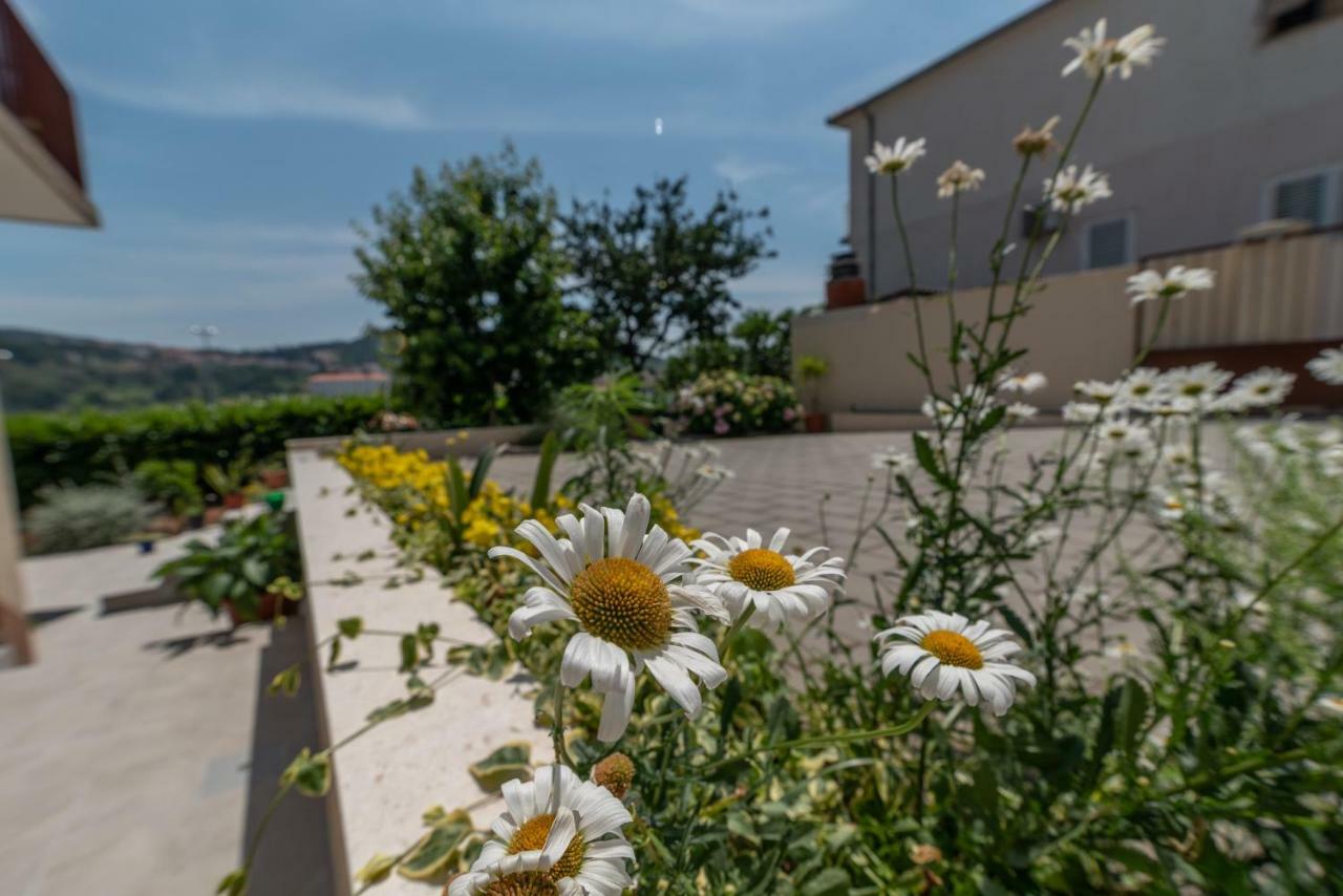 Apartments Flora トロギール エクステリア 写真